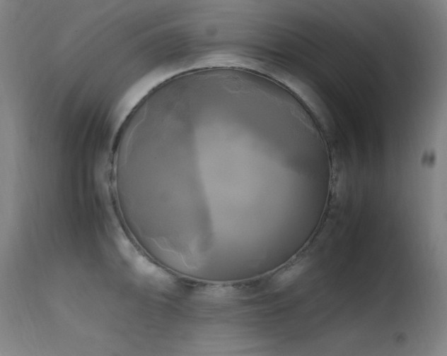 X0000112971094200908271136