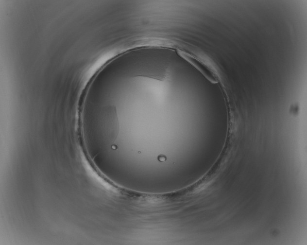 X0000112971095200908271136
