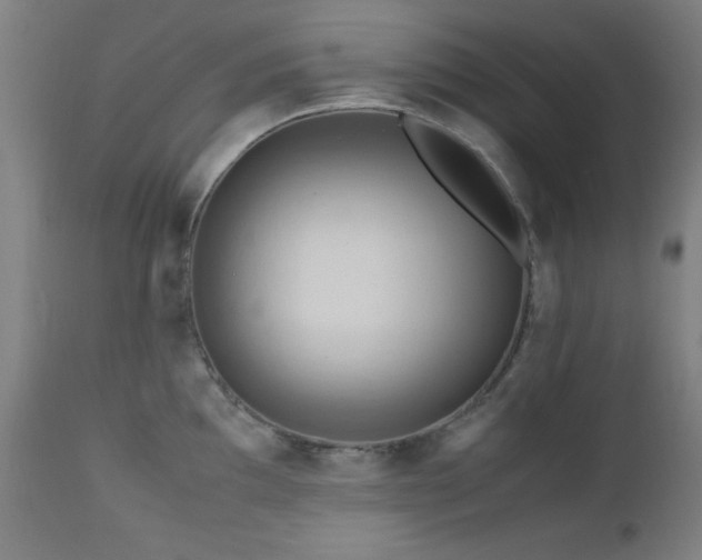 X0000112971097200908271136
