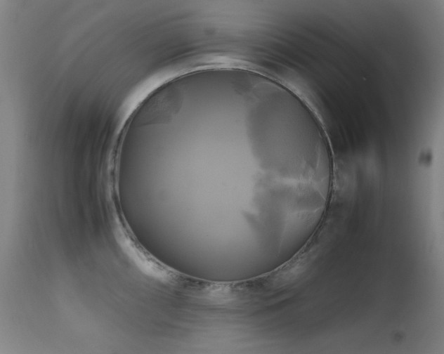 X0000112971098200908271136