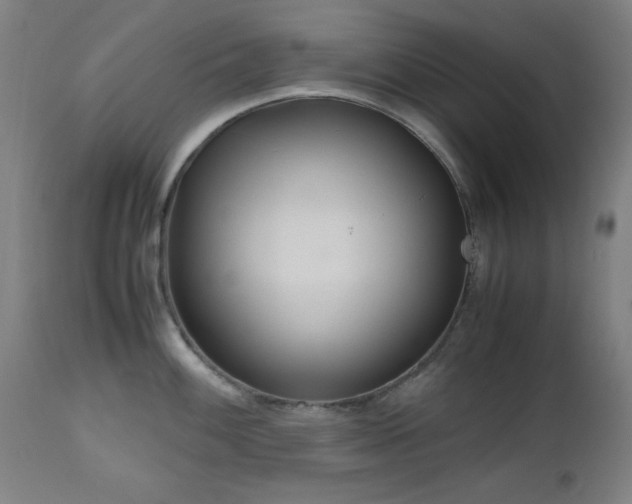 X0000112971100200908271136