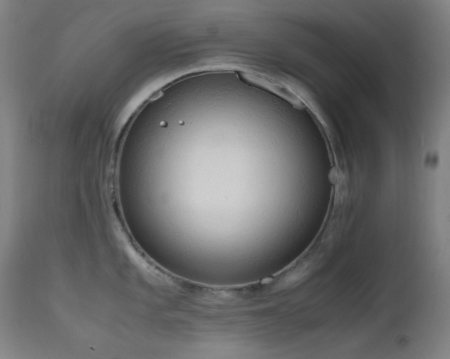 X0000112971101200908271136