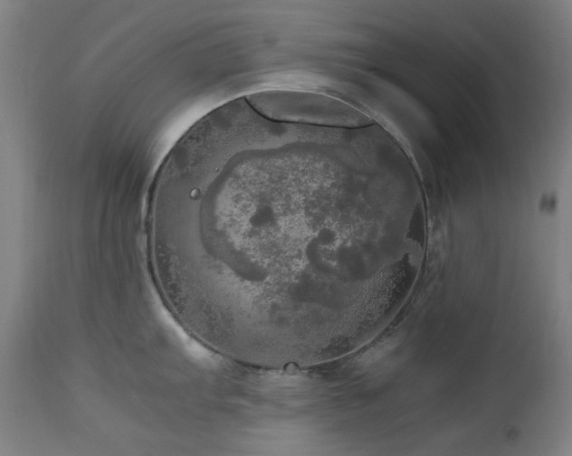 X0000112971103200908271136