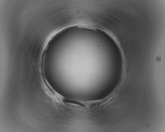 X0000112971104200908271136