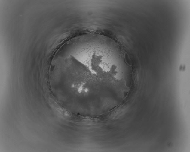 X0000112971105200908271135