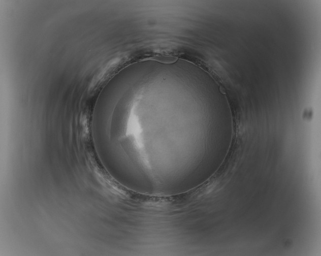 X0000112971106200908271135