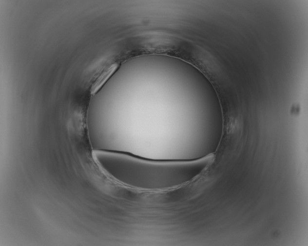 X0000112971108200908271135