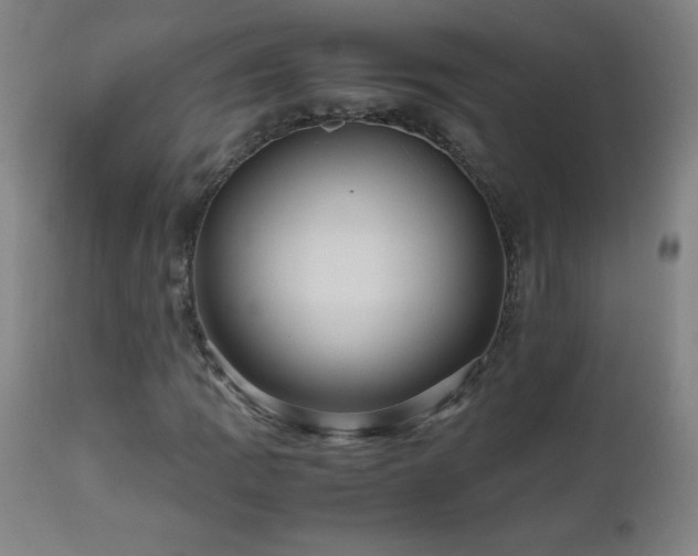 X0000112971109200908271135