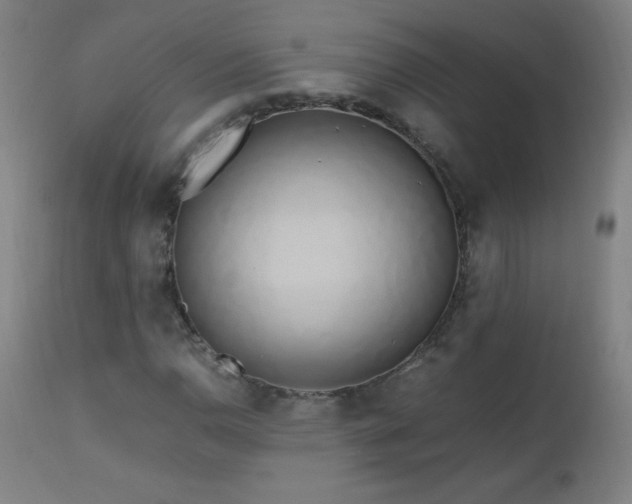 X0000112971110200908271135