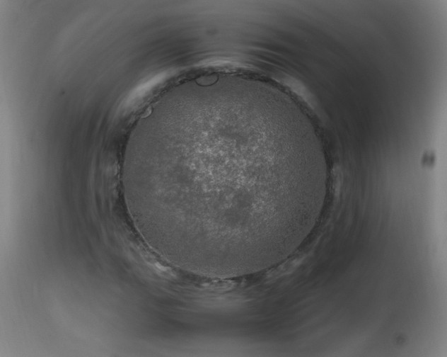 X0000112971111200908271135