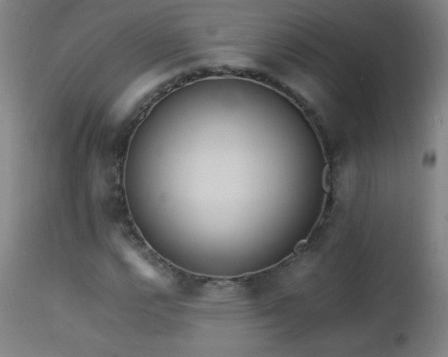 X0000112971112200908271135