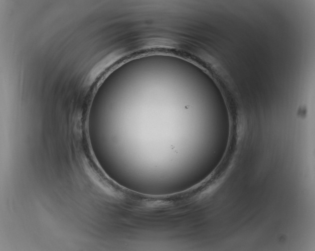 X0000112971113200908271135