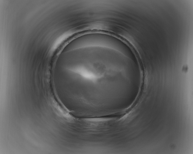 X0000112971115200908271135