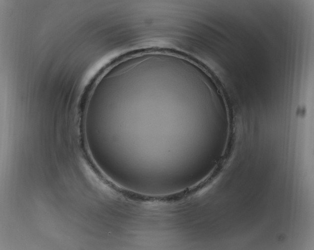 X0000112971118200908271135