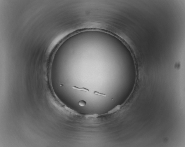 X0000112971120200908271135