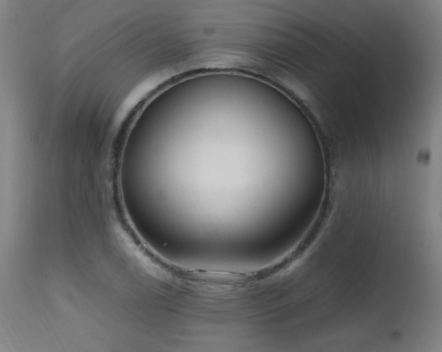 X0000112971122200908271135