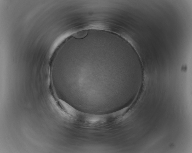 X0000112971123200908271135