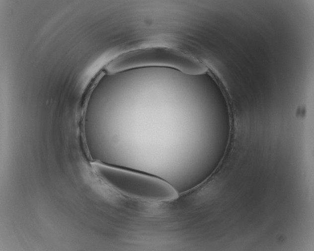 X0000112971124200908271135
