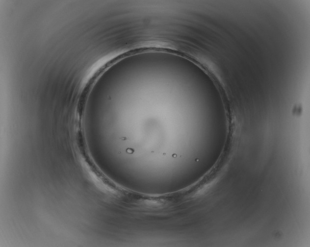 X0000112971125200908271135