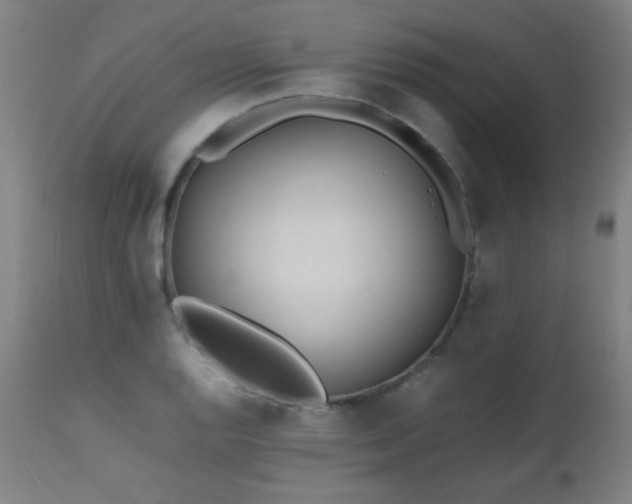 X0000112971128200908271135