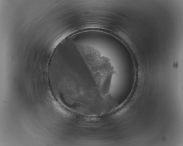 X0000112971129200908271135