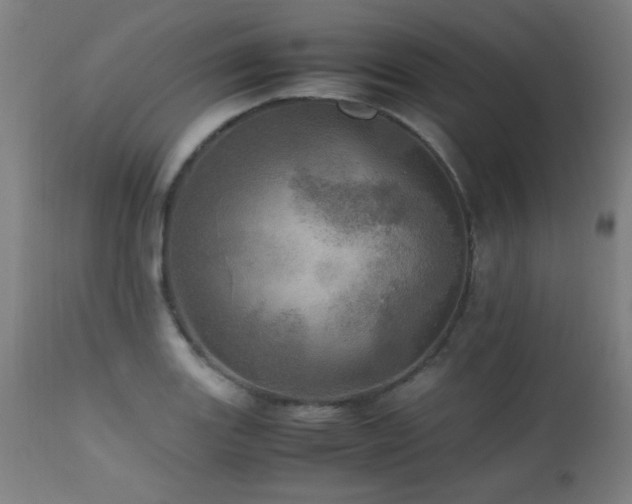 X0000112971131200908271135
