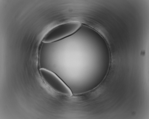 X0000112971132200908271135