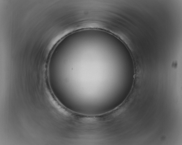 X0000112971134200908271135