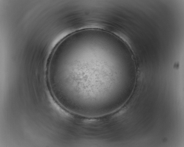 X0000112971135200908271135