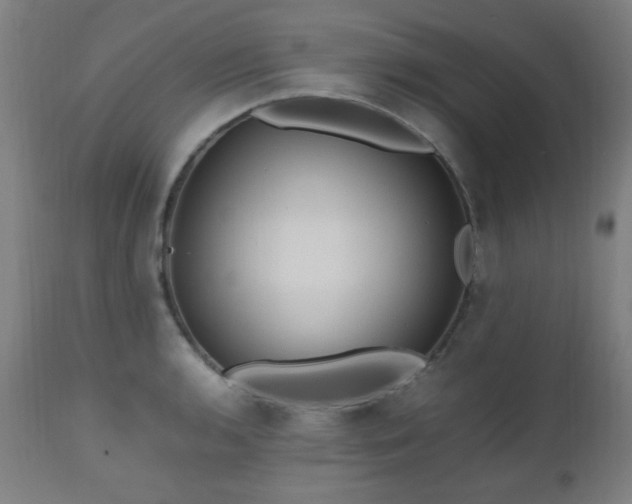 X0000112971136200908271135