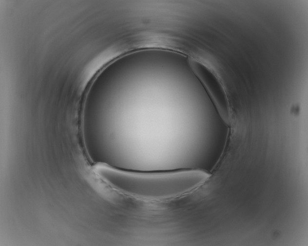 X0000112971138200908271135