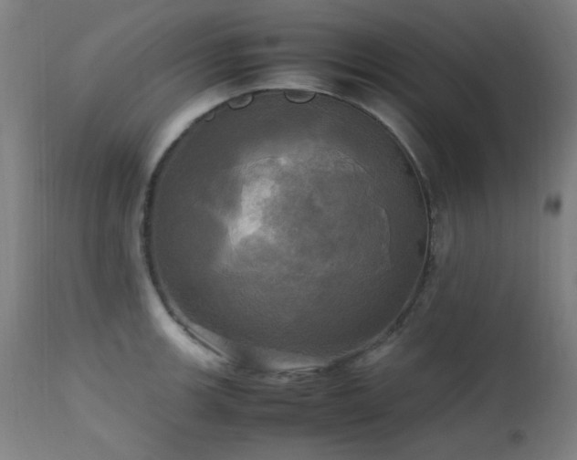X0000112971139200908271135