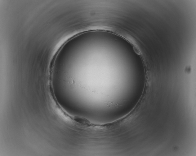 X0000112971140200908271135