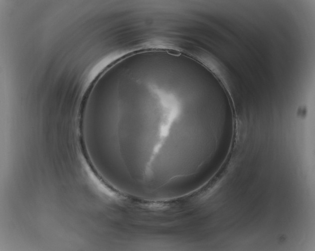 X0000112971141200908271135