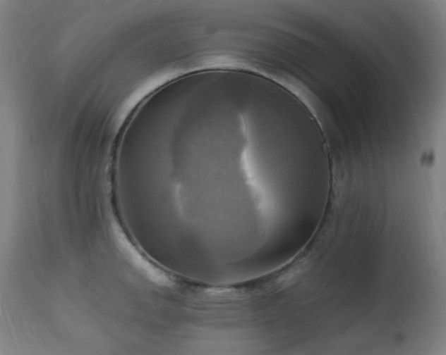 X0000112971142200908271135
