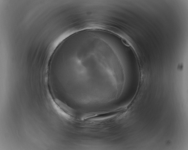 X0000112971143200908271135
