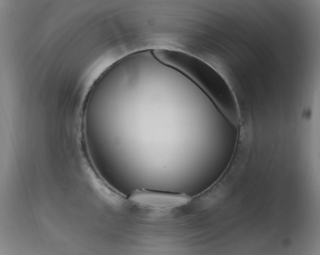 X0000112971144200908271135