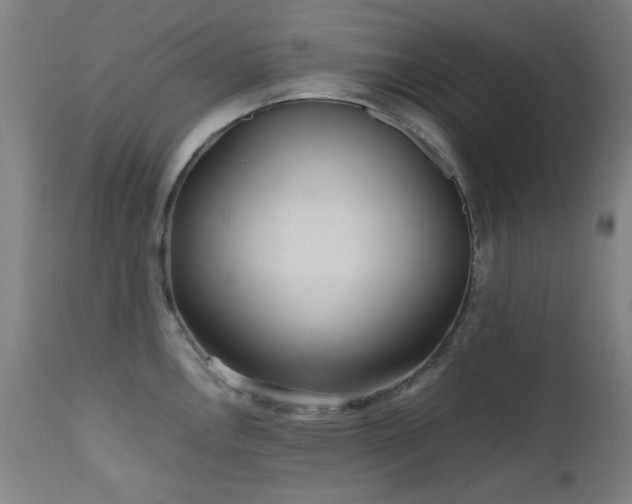 X0000112971146200908271135