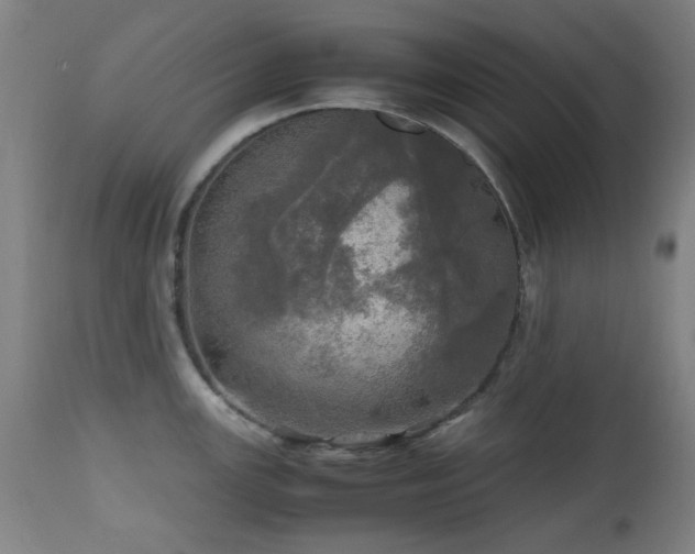 X0000112971147200908271135