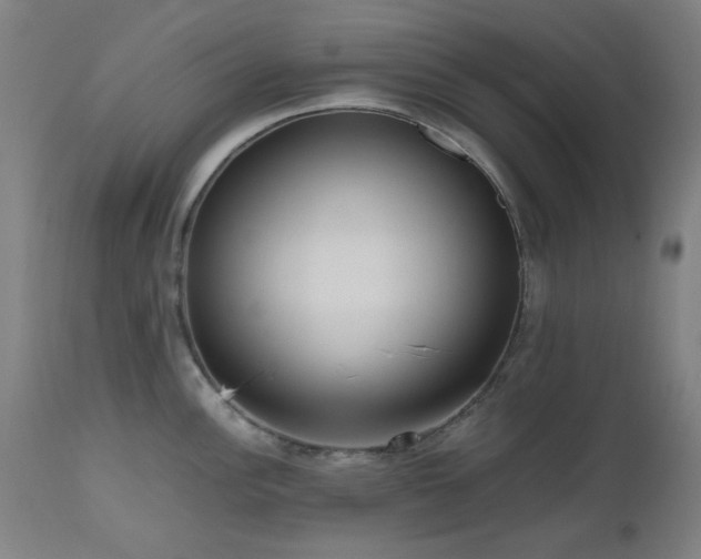 X0000112971148200908271136