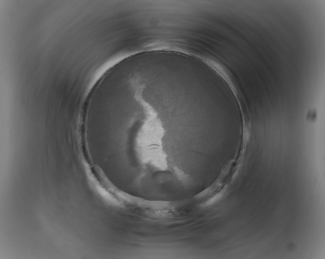 X0000112971149200908271136