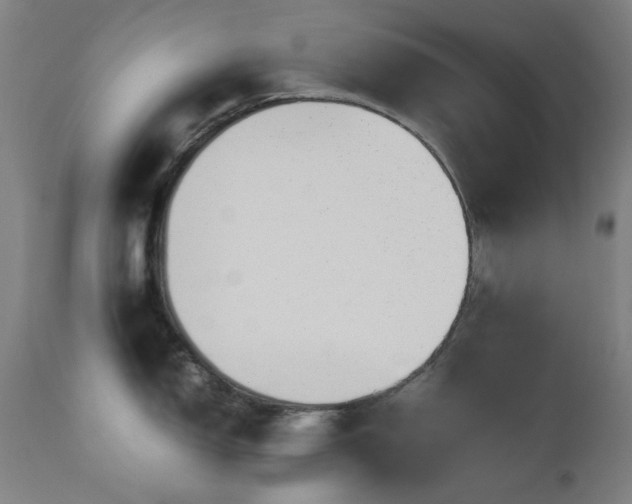X0000112971150200908271136