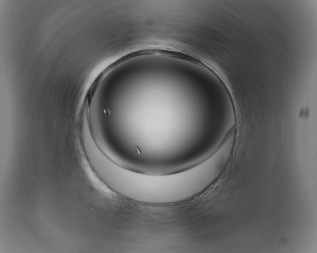 X0000112971152200908271136