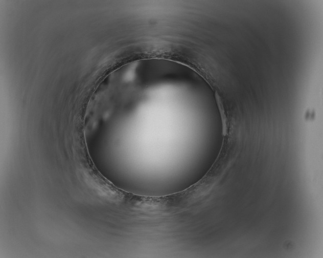 X0000112971153200908271135