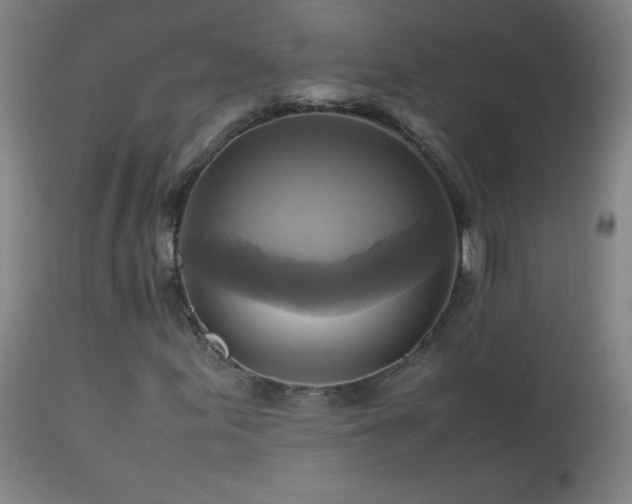 X0000112971155200908271135