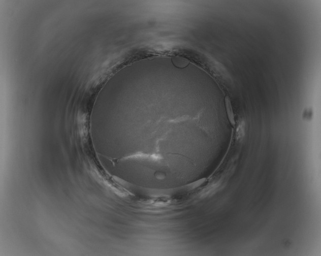 X0000112971156200908271135