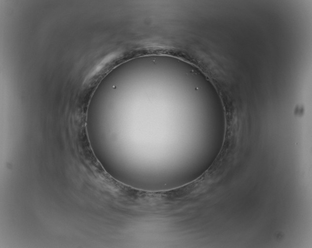 X0000112971157200908271135