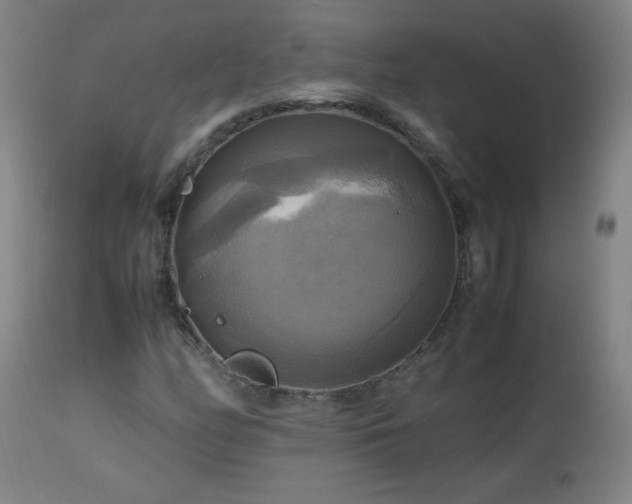 X0000112971158200908271135