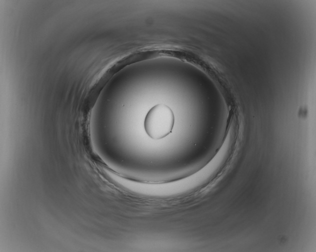 X0000112971161200908271135