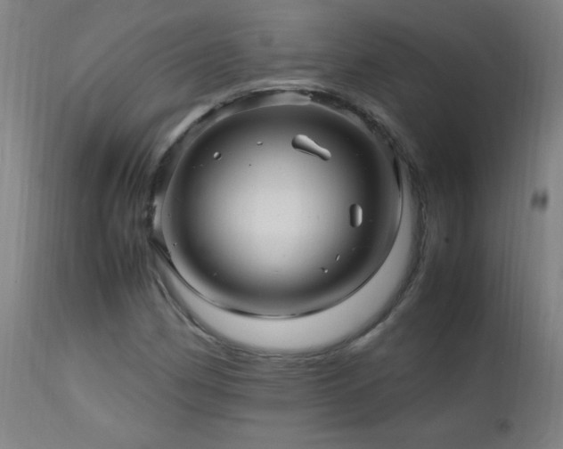 X0000112971162200908271135